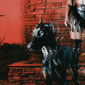 Leon Thomas: MUTT