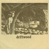 Driftwood: Driftwood