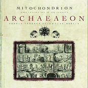 Into The Pit Of Babel by Mitochondrion