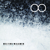 Why Did You Kill All Those Flowers?