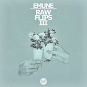 Raw Flips 3 (Instrumentals)