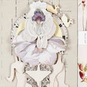 Wildflowers, Vol. 1