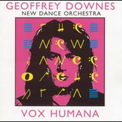 Geoffrey Downes & New Dance Orchestra