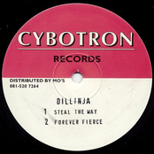 Forever Fierce by Dillinja