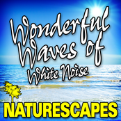 Wonderful Waves of White Noise (Nature Sounds)