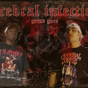 Cerebral Infection