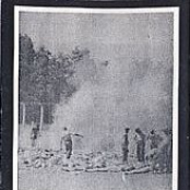 Whitewash / Days Without Fear