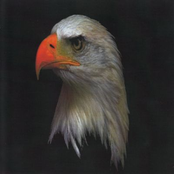 Warriors Of The Winds