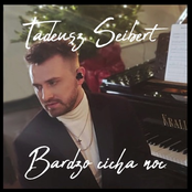 Bardzo cicha noc