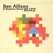 Ben Allison: Buzz