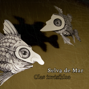 Medusa by Selva De Mar