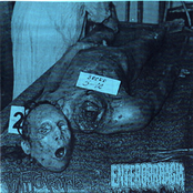 Vomitcarnivale / Enterorrhagia