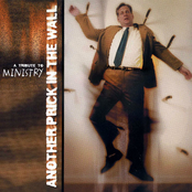Another Prick In The Wall - A Tribute to Ministry
