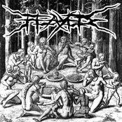 Ape Must Not Eat Ape