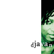 Djavan: Bicho Solto - O XIII