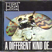 A Different Kind Of...Meat