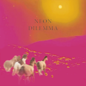 Neon Dilemma