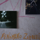 Fenómeno Zambelli