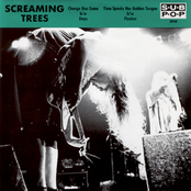 I've Seen You Before by Screaming Trees