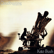 Burning Bridge by Kate Bush