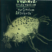 The Scrotum Afterbirth