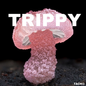 trippy