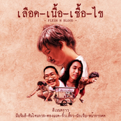 เลือดเนื้อเชื้อไข