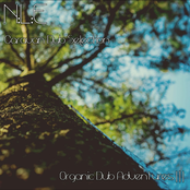 Caravan Dub Selection [ Organic Dub Adventures ||| ]