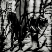 The Sound of Silence