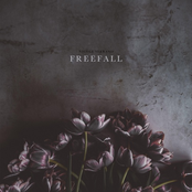 Freefall