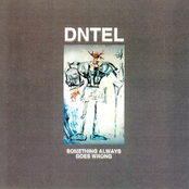 Dntel: Something Always Goes Wrong