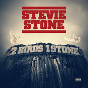 2 Birds 1 Stone by Stevie Stone