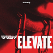 Elevate