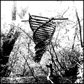 Souls in a World of Dense Air