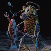 I Have A Physical Body That Can Be Harmed