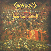 From Conflict To Conquest