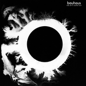 Spirit by Bauhaus