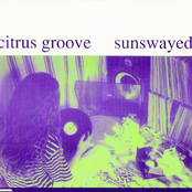 Citrus Groove