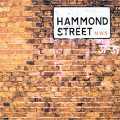 Hammond Street