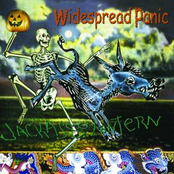Sympathy For The Devil by Widespread Panic