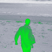 The Cuckoo’s Dream