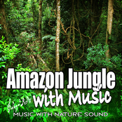 Amazon Jungle with Music