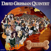 David Grisman Quintet: Dawgnation