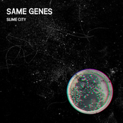 Same Genes