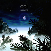 Broccoli by Coil