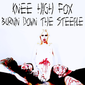 Burnin Down the Steeple - Single