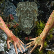 Darelle Wonder Forver