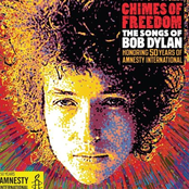 Joe Perry: Chimes of Freedom: The Songs of Bob Dylan Honoring 50 Years of Amnesty International