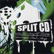 Split CD - Standup Records
