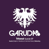 Suede (stoneface & Terminal Remix) by Tritonal